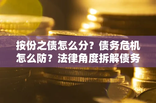 武汉按份之债怎么分？债务危机怎么防？法律角度拆解债务分配与风险自保指南