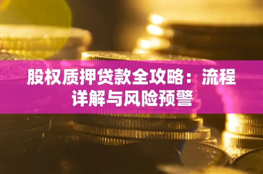 武汉股权质押贷款全攻略：流程详解与风险预警