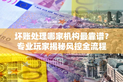 武汉坏账处理哪家机构最靠谱？专业玩家揭秘风控全流程