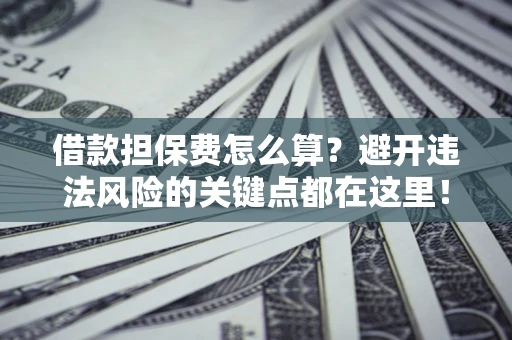 武汉借款担保费怎么算？避开违法风险的关键点都在这里！