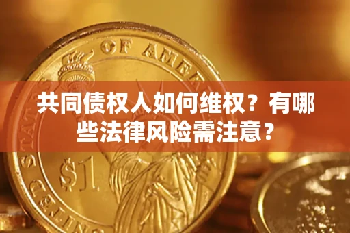 武汉共同债权人如何维权？有哪些法律风险需注意？