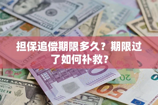 武汉担保追偿期限多久？期限过了如何补救？