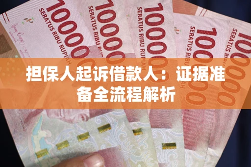 武汉担保人起诉借款人：证据准备全流程解析