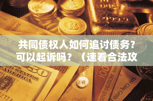 武汉共同债权人如何追讨债务？可以起诉吗？（速看合法攻略）