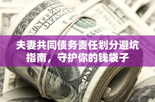 武汉夫妻共同债务责任划分避坑指南，守护你的钱袋子