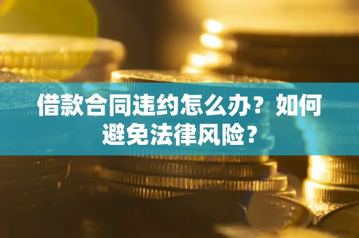 武汉借款合同违约怎么办？如何避免法律风险？